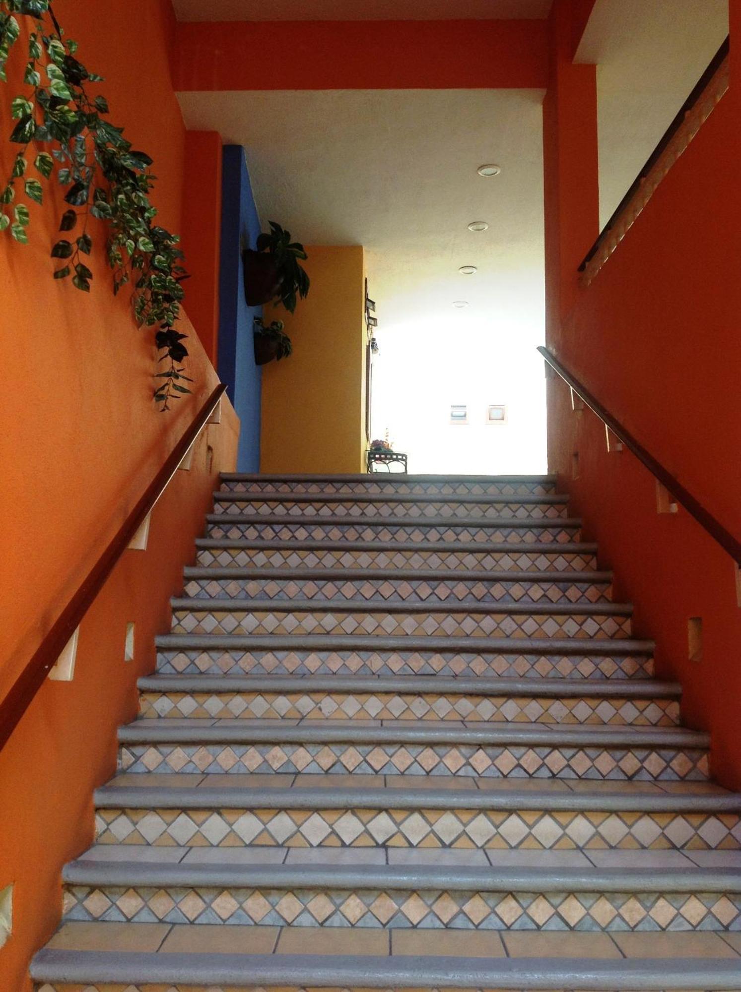 Hotel Plaza Jardin Tequila Exterior foto